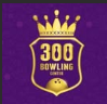 300 Bowl logo